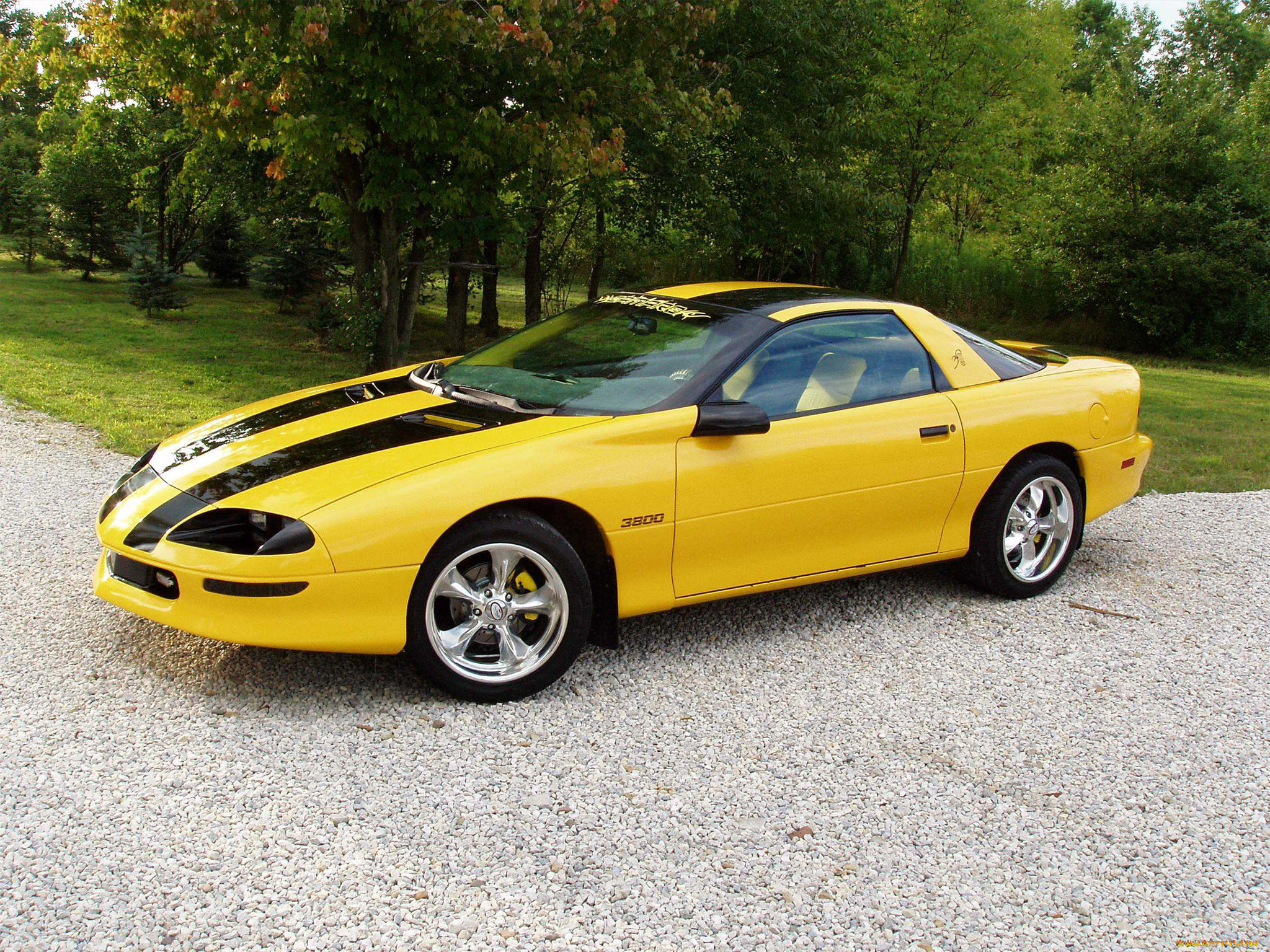 , camaro